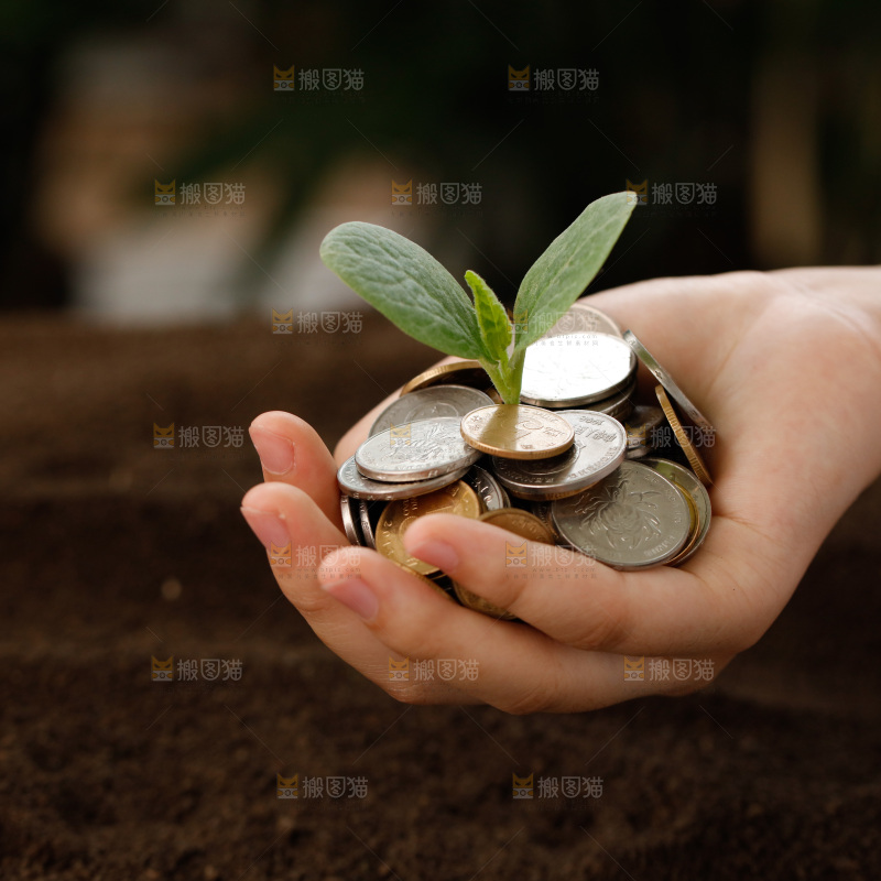 理财金融生长