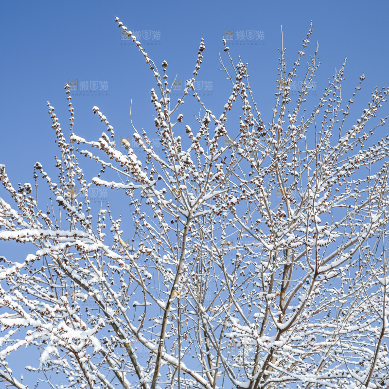 村落雪景下雪