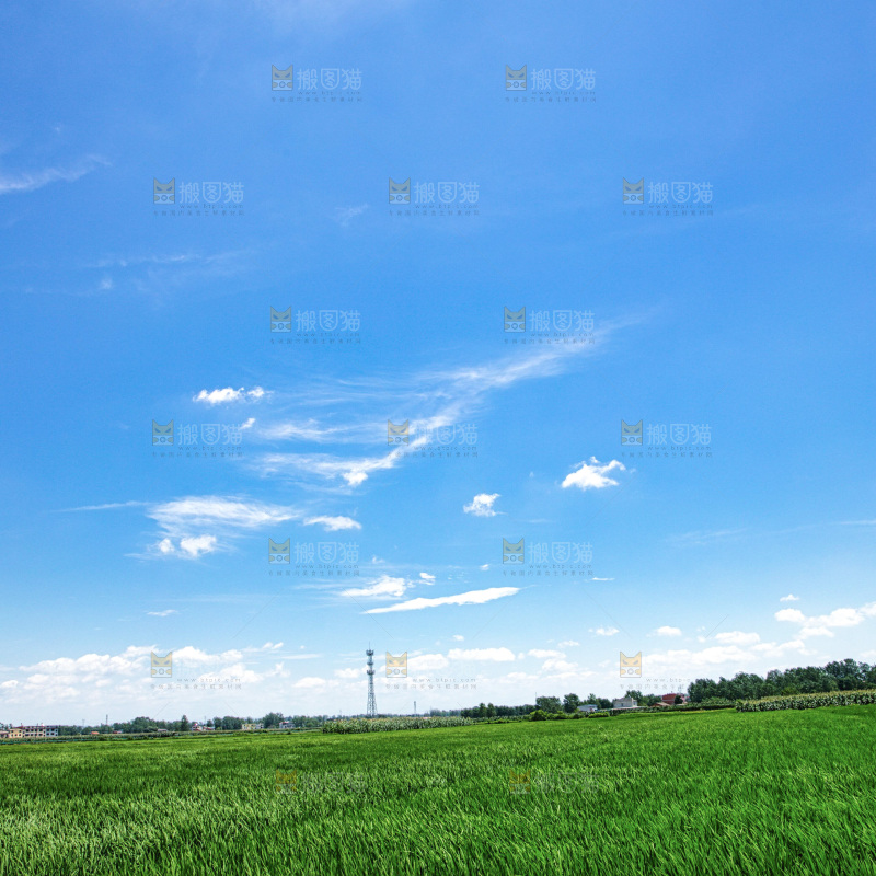 蓝天草地