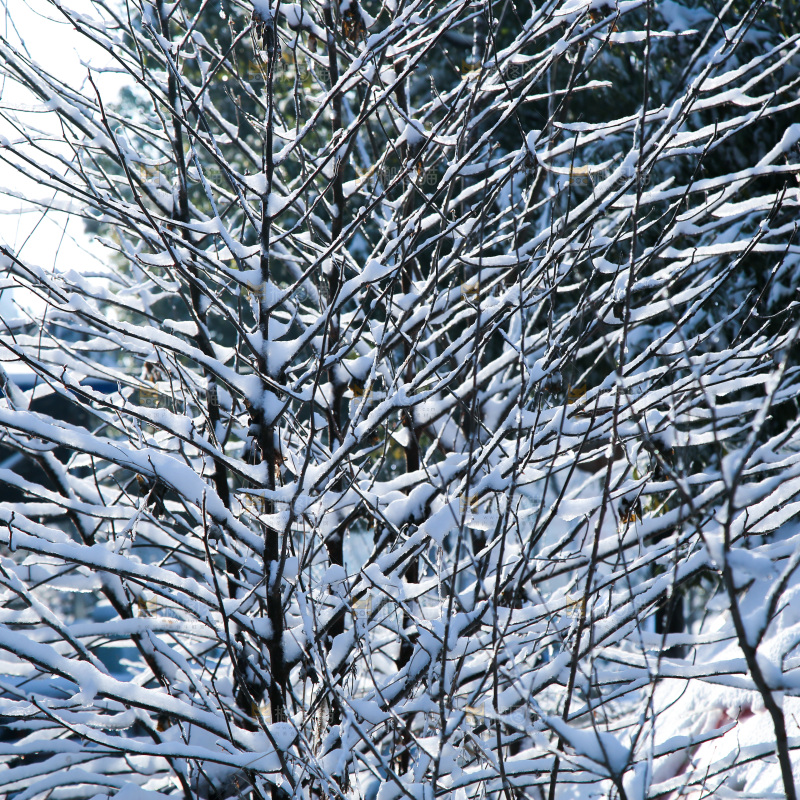 村落雪景下雪