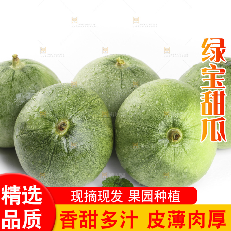 绿宝甜瓜