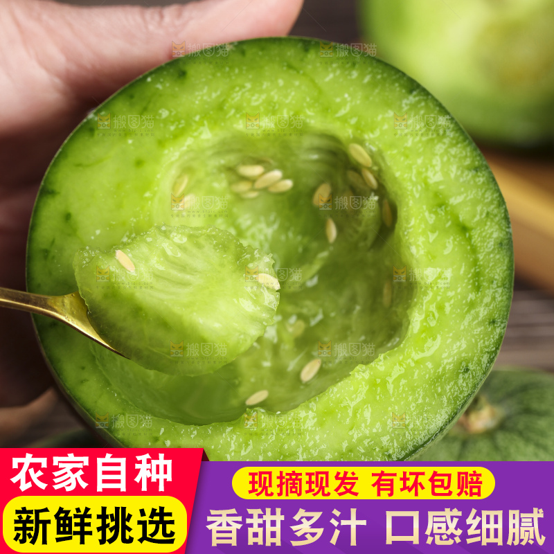绿宝甜瓜