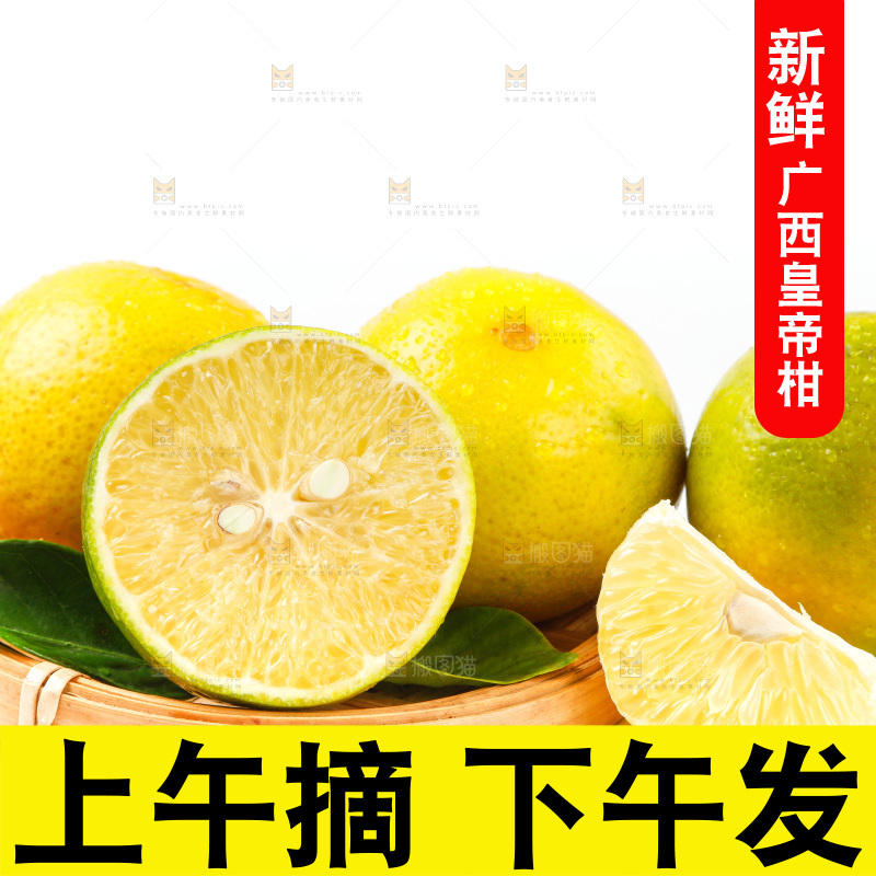 皇帝柑