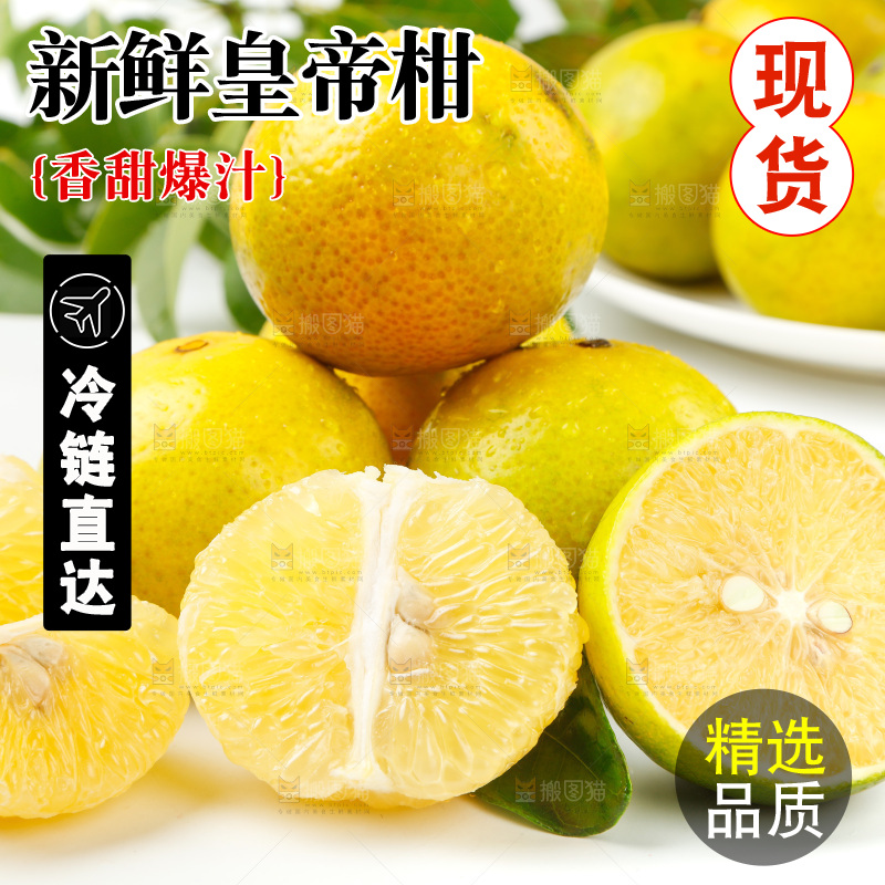 皇帝柑