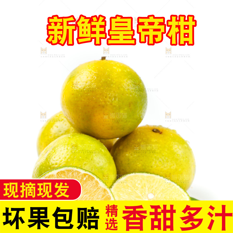 皇帝柑