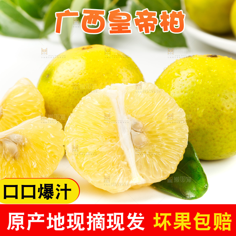 皇帝柑