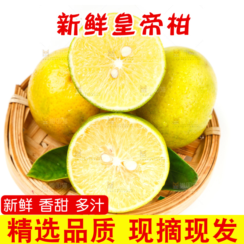 皇帝柑