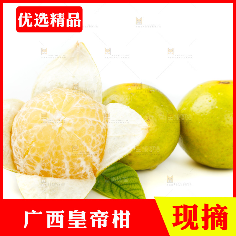 皇帝柑