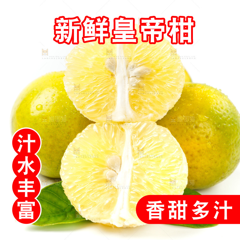 皇帝柑