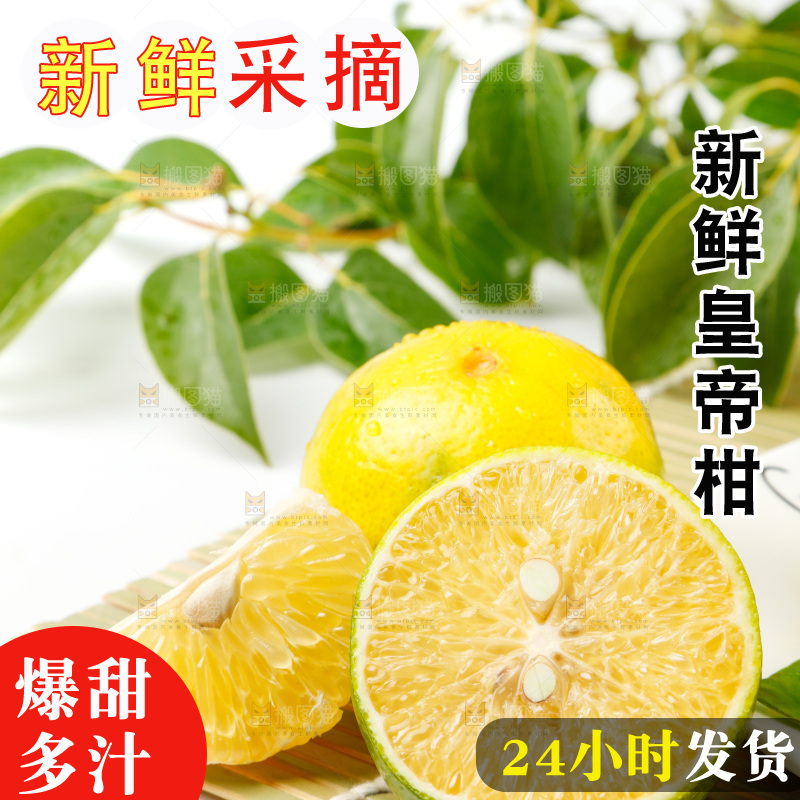 皇帝柑