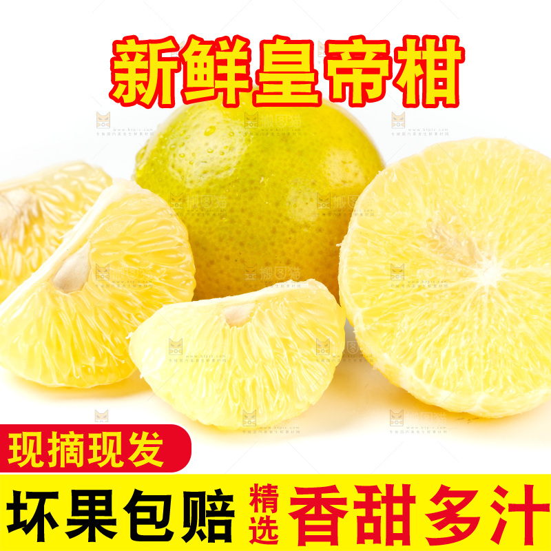 皇帝柑