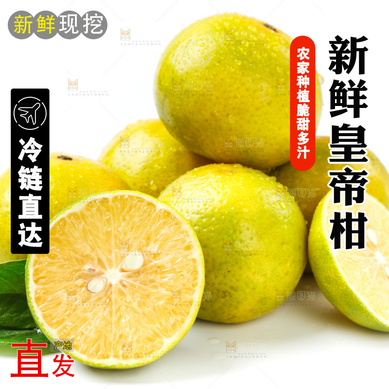 皇帝柑