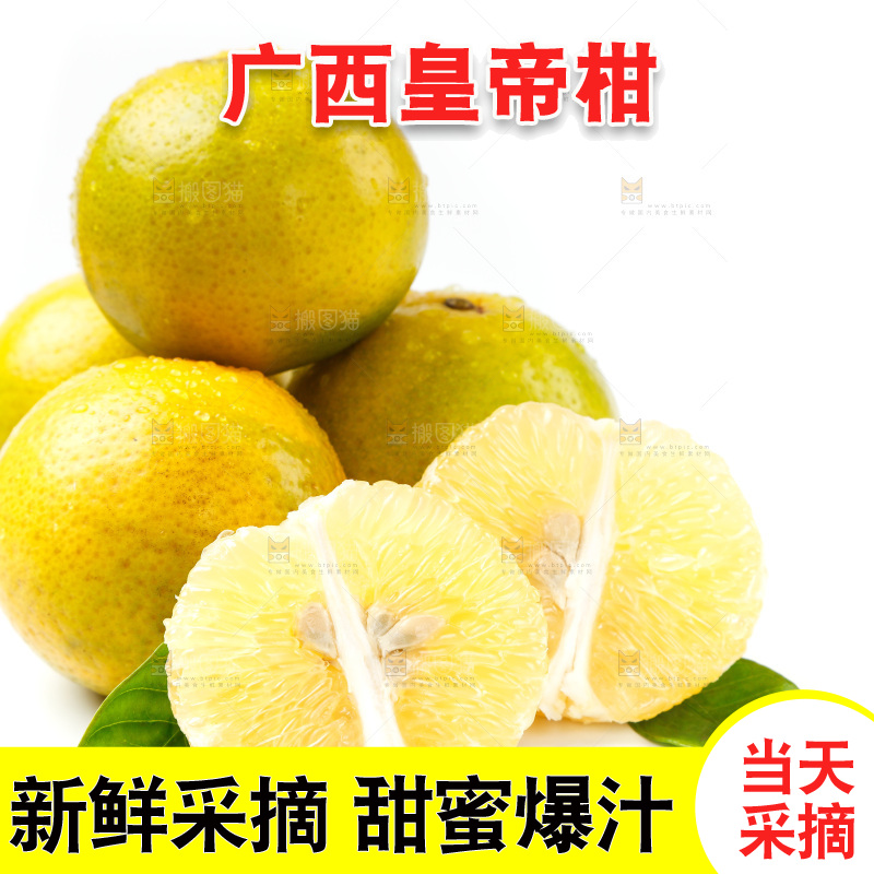 皇帝柑