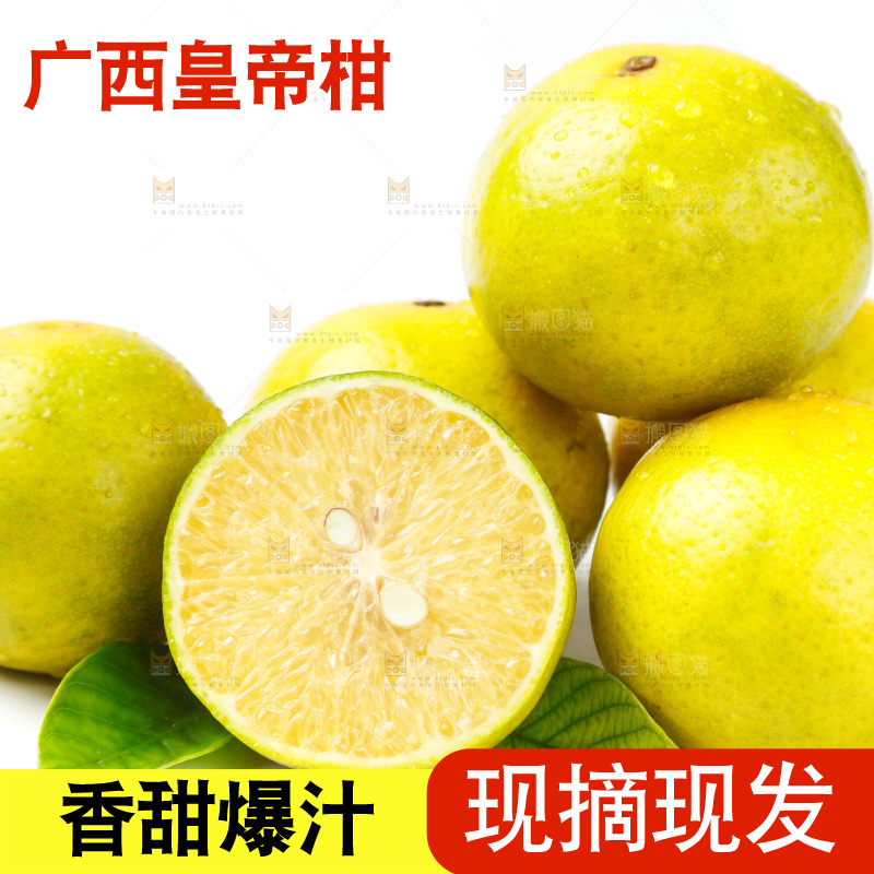 皇帝柑