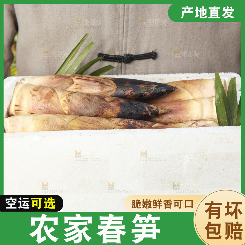 春笋