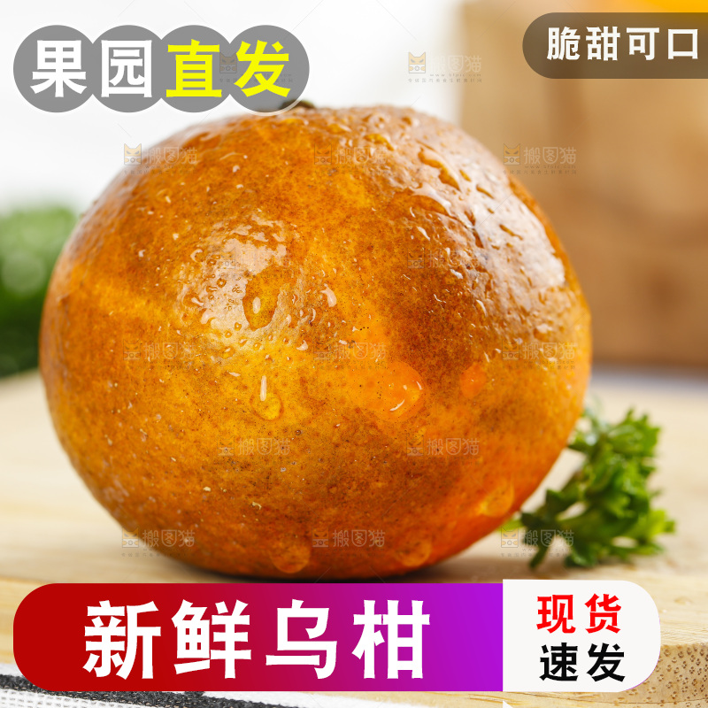 乌柑