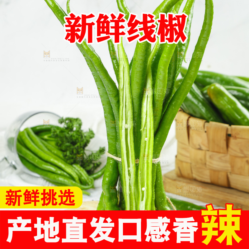 线椒