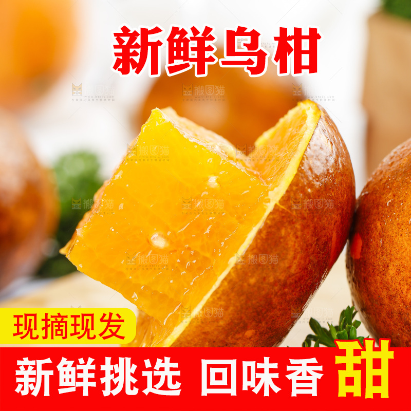 乌柑