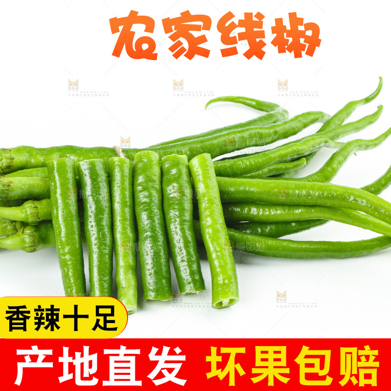 线椒