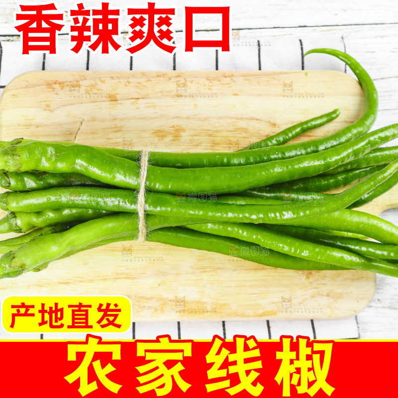 线椒
