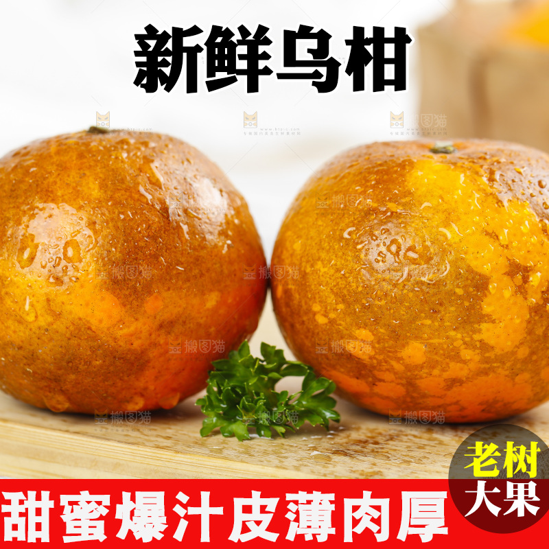乌柑