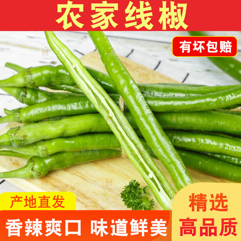 线椒