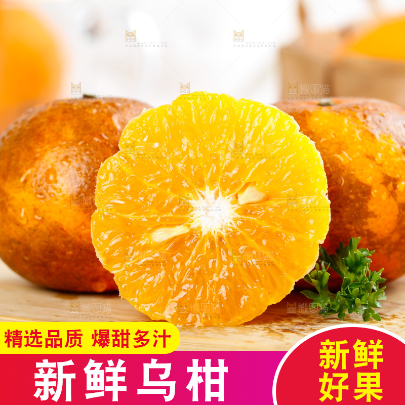 乌柑