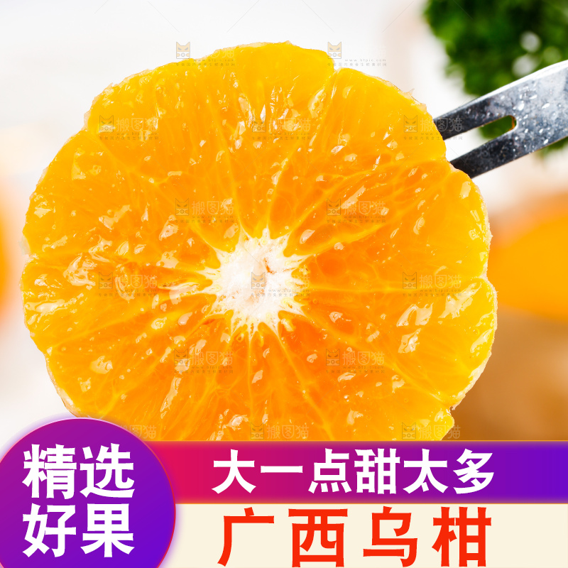 乌柑