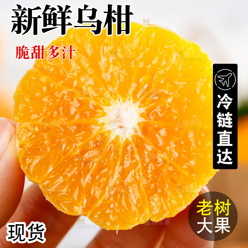 乌柑