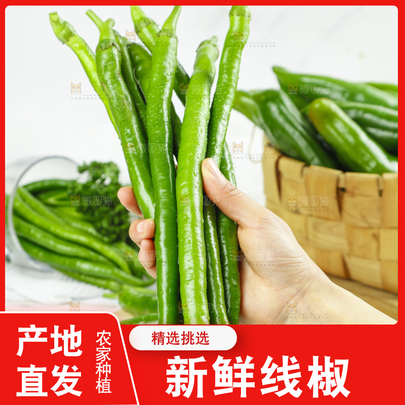 线椒
