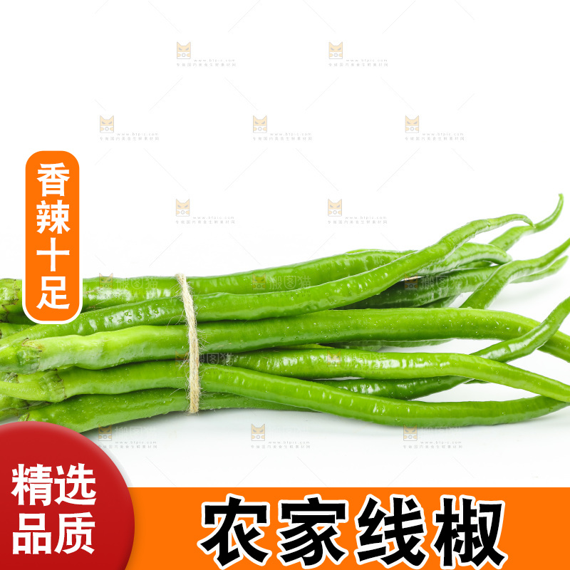 线椒