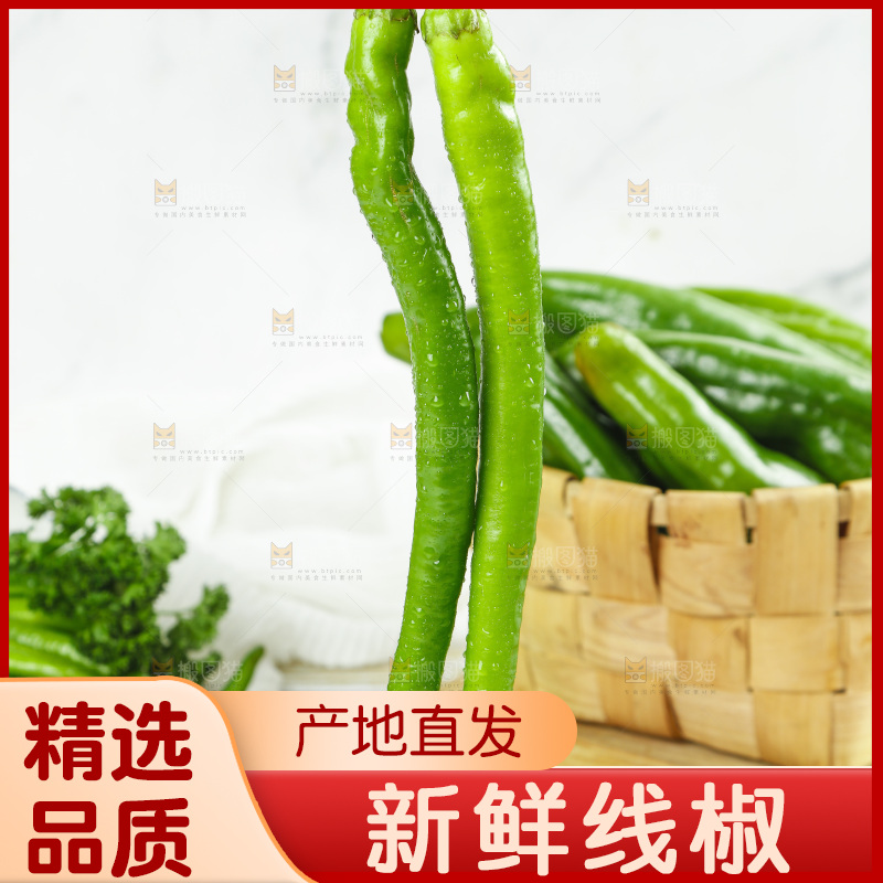 线椒