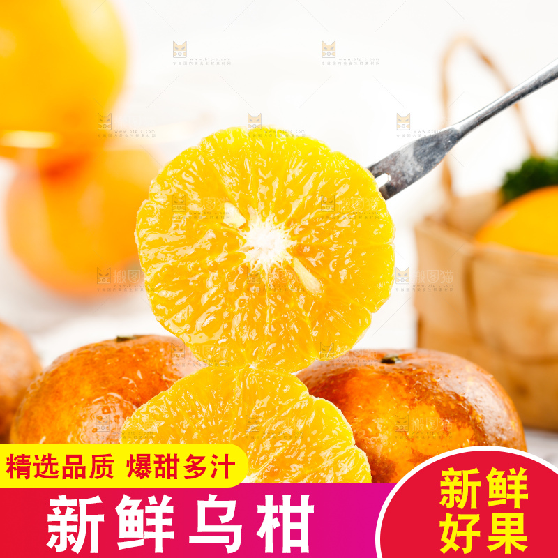 乌柑