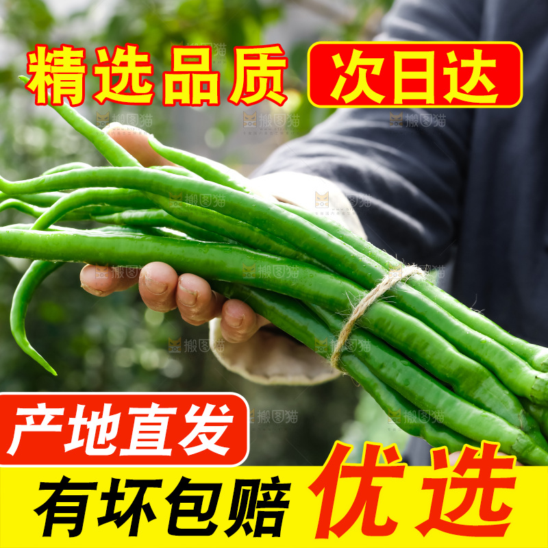 线椒