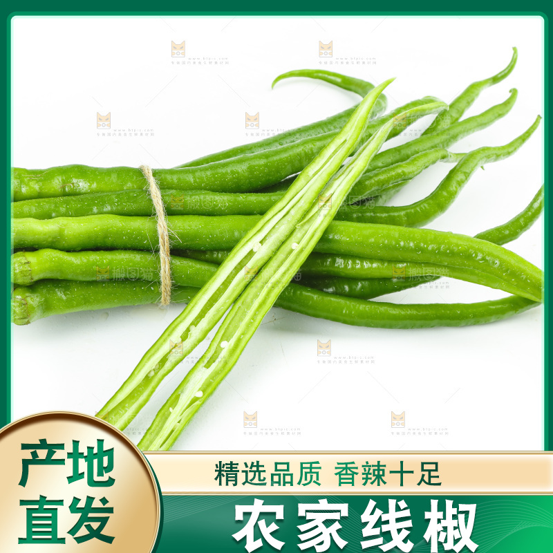 线椒