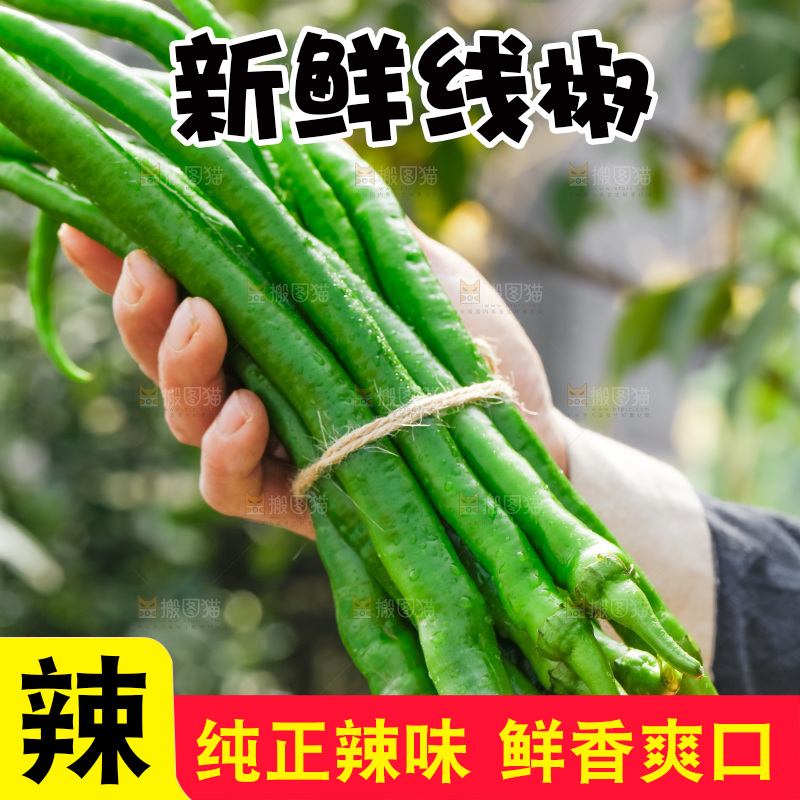 线椒