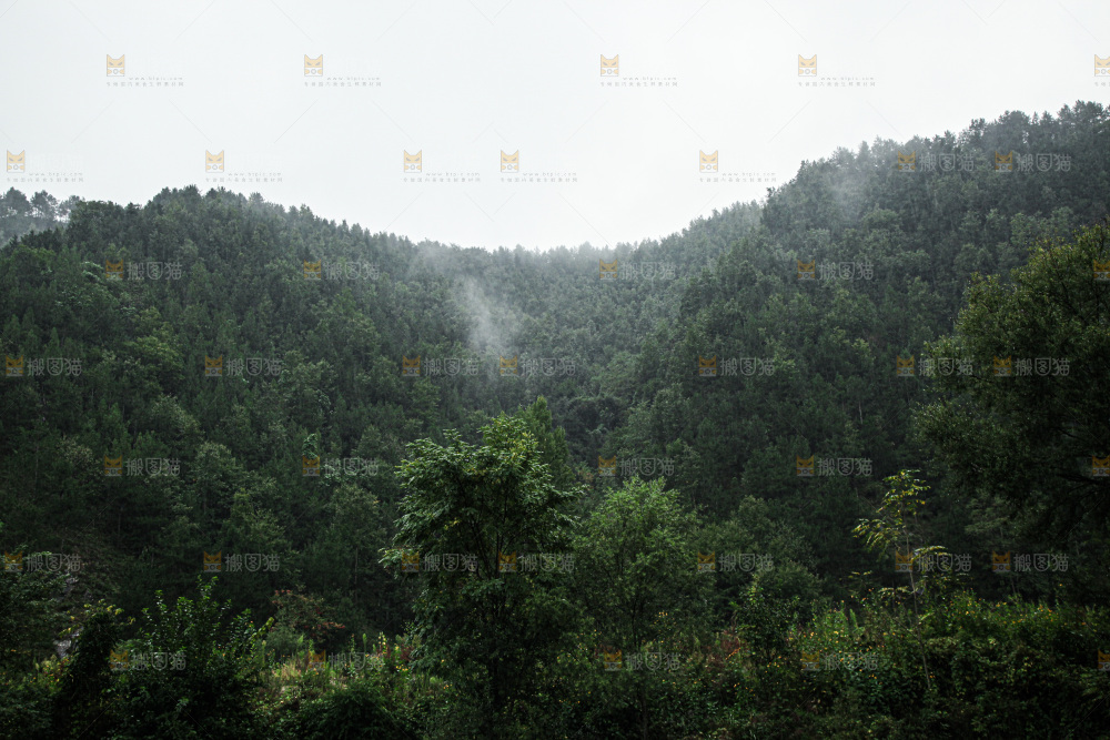 深山风景 云海