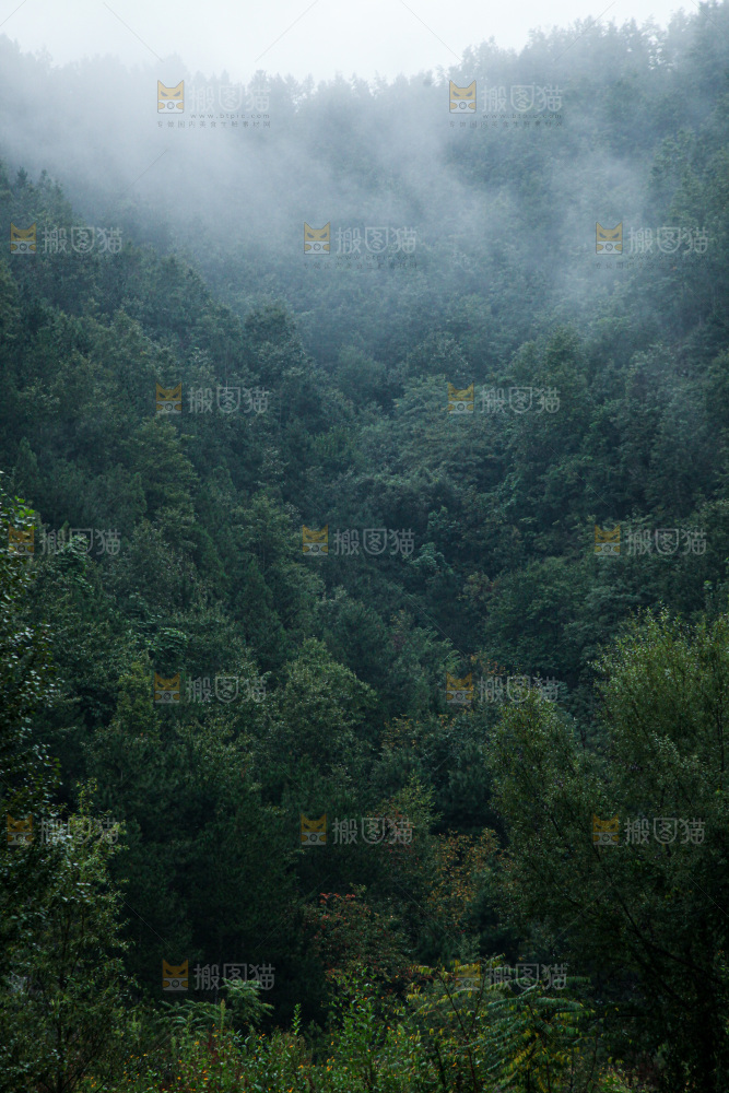 深山风景 云海