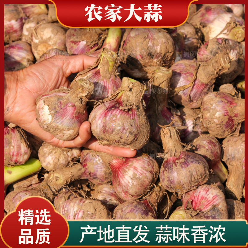 大蒜