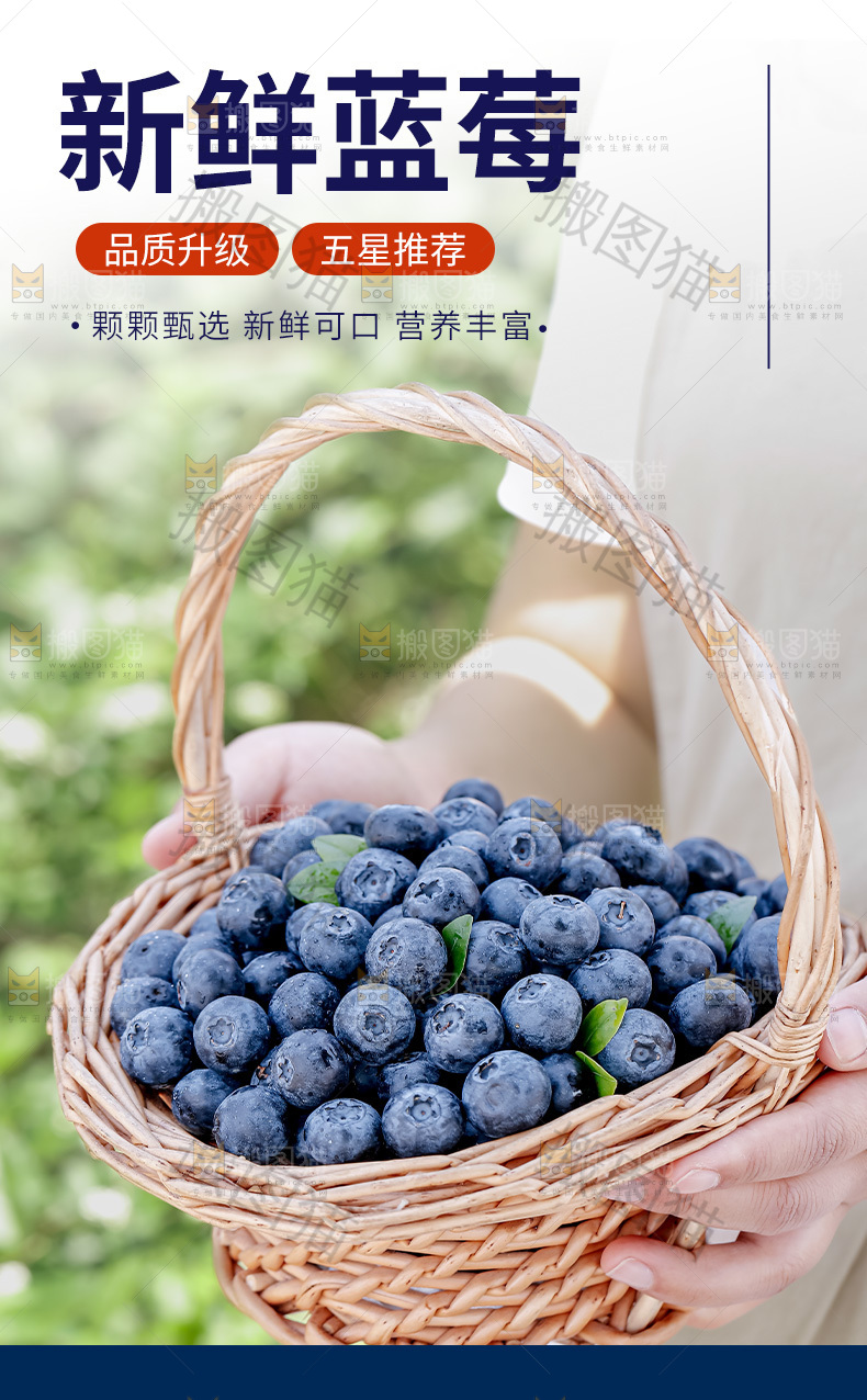 蓝莓详情页