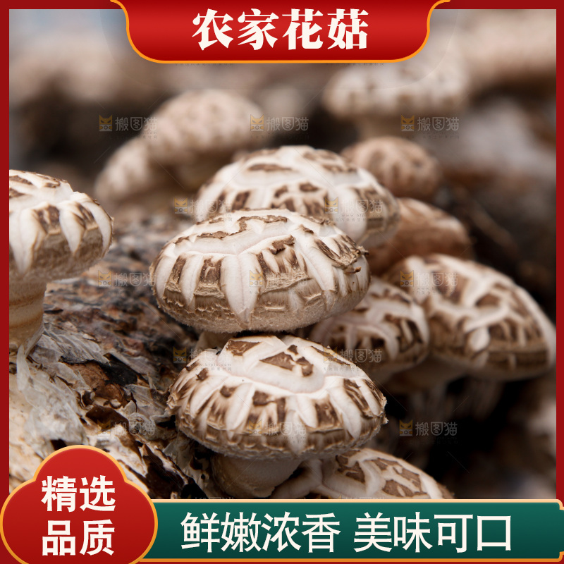 花菇 香菇