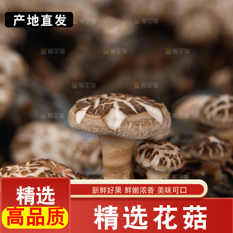 花菇 香菇