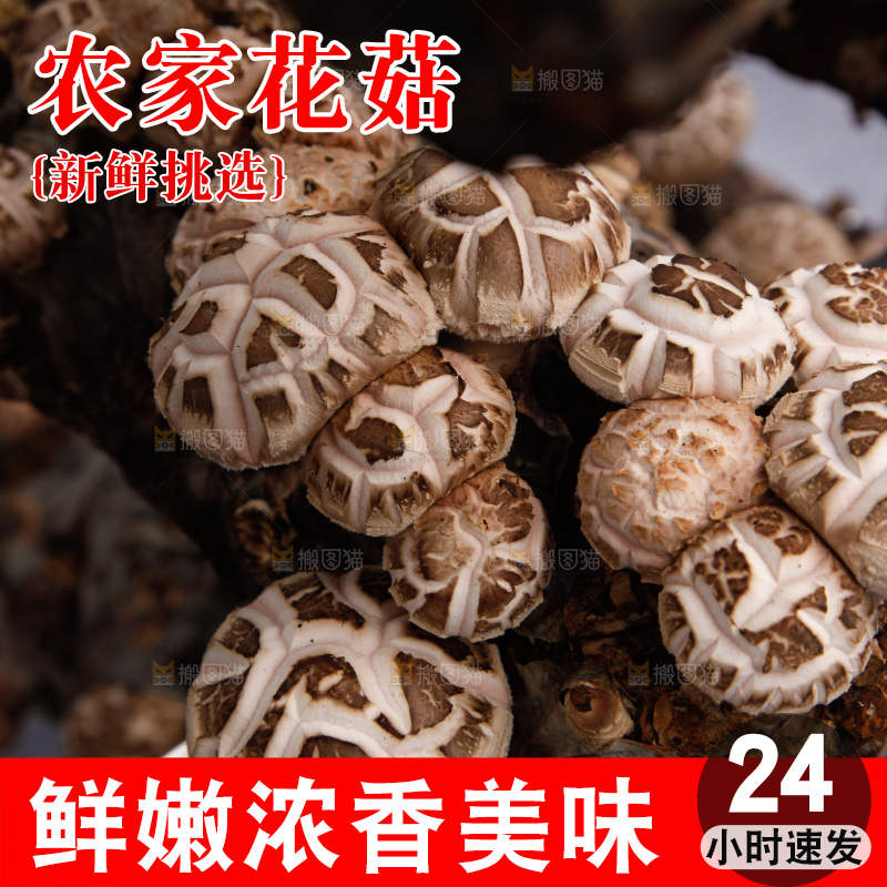 花菇 香菇