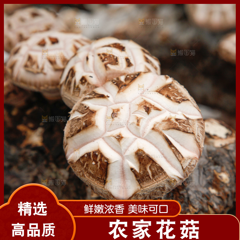 花菇 香菇