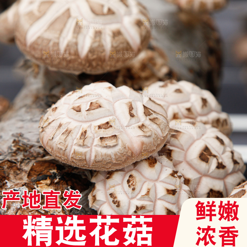 花菇 香菇