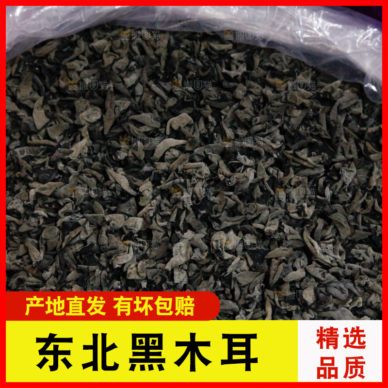 黑木耳