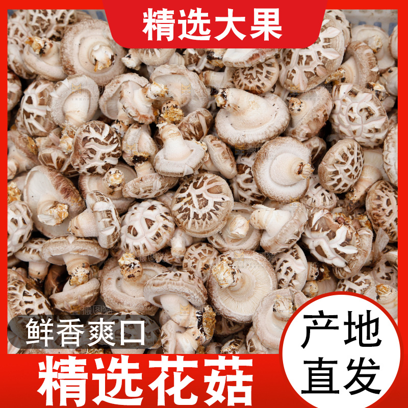 花菇 香菇
