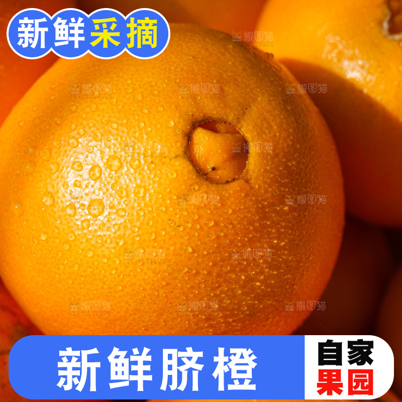 赣南脐橙