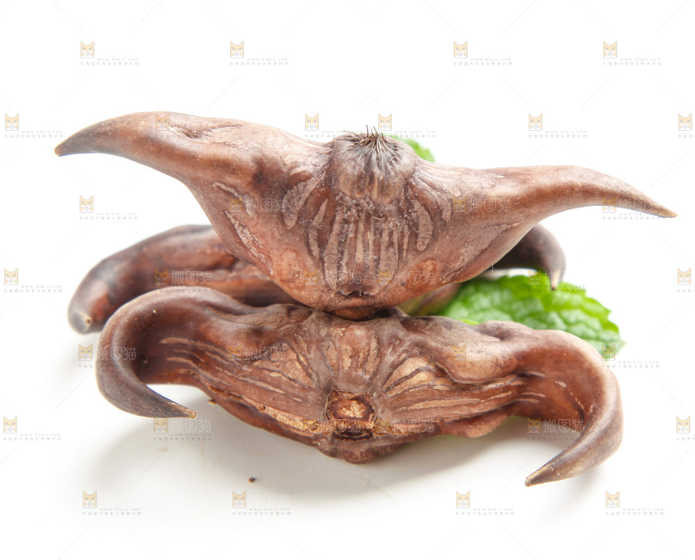 老菱角