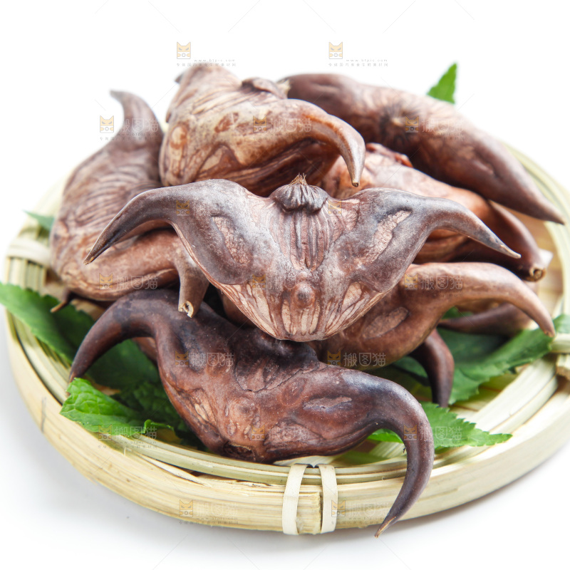 老菱角
